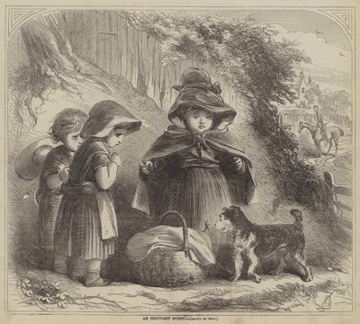 Küstah bir köpek yavrusu by Hablot Knight Browne